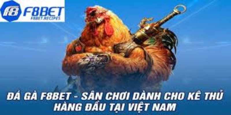 Cộng Đồng Người Chơi Đam Mê