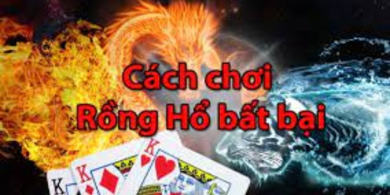 Khái Niệm Cơ Bản Về Long Hổ