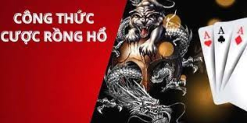 Khuyến Mãi Hấp Dẫn Dành Cho Người Chơi Long Hổ