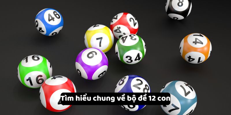 Tìm hiểu chung về bộ đề 12 con